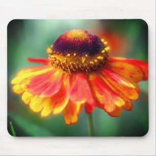 Orange Yellow Zinnia Daisy Flower Mouse Pad