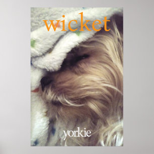 Orange Yorkie Name & Photo Poster