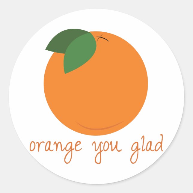 Orange You Glad Classic Round Sticker (Front)