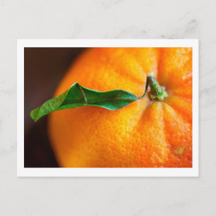 Orange you glad? postcard