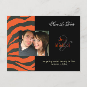 Orange zebra Save the Date Photo postcards, Announcement Postcard