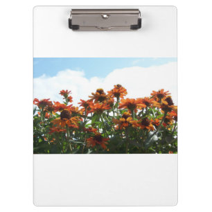 Orange Zinnas Against a Blue Sky White Clipboard