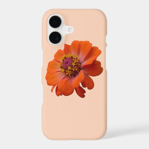 Orange Zinnia