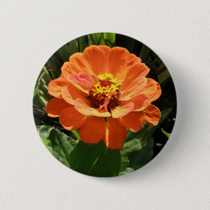 Orange Zinnia Button