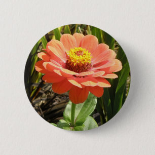 Orange Zinnia Flower Button