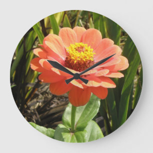 Orange Zinnia Flower Wall Clock