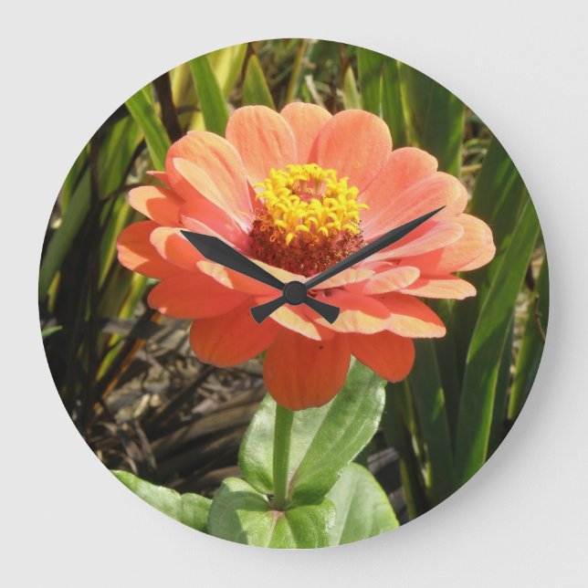 Orange Zinnia Flower Wall Clock (Front)