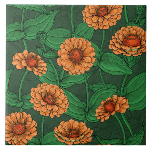 Orange Zinnia flowers, green leaves on dark green Ceramic Tile