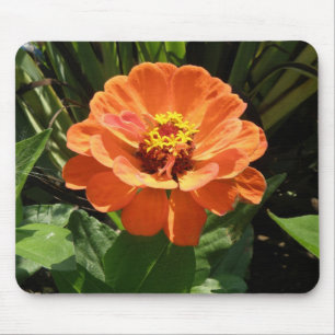 Orange Zinnia Mousepad