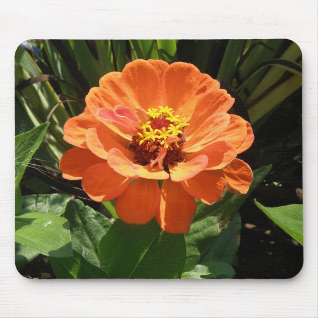 Orange Zinnia Mousepad (Front)