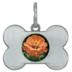 Orange Zinnia Pet Tag