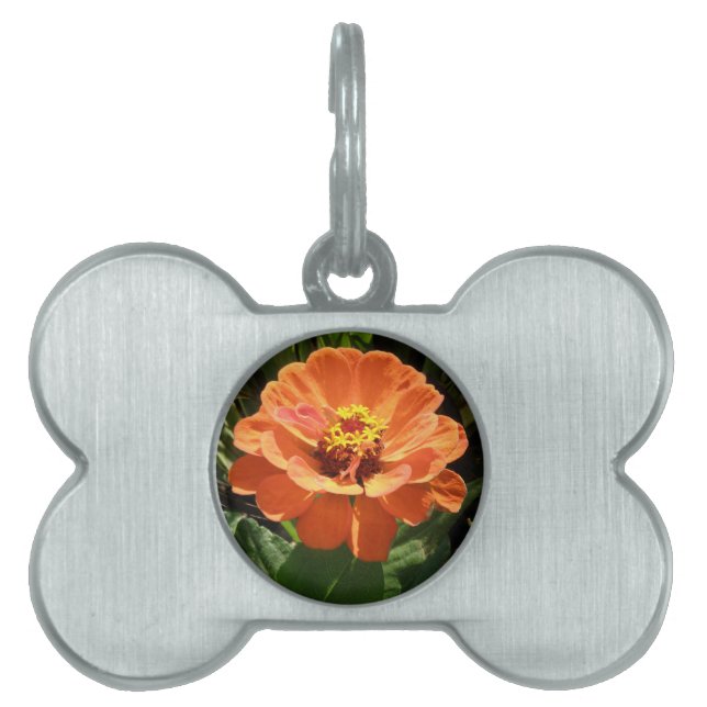 Orange Zinnia Pet Tag (Front)