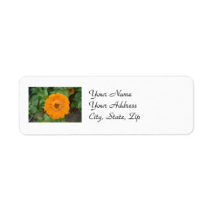 Orange Zinnia Return Address Label