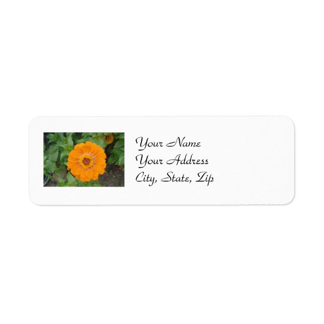 Orange Zinnia Return Address Label (Front)