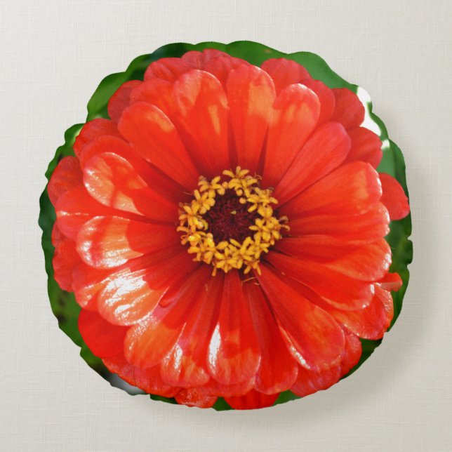 Orange Zinnia Round Cushion (Front)
