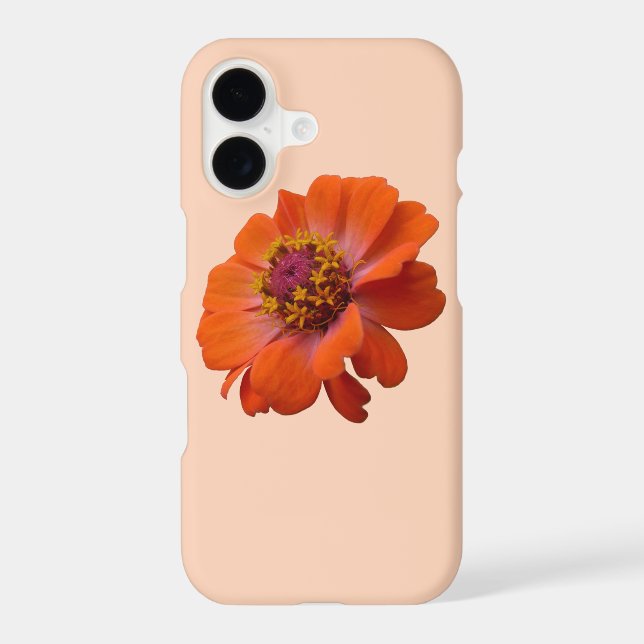 Orange Zinnia Wildflower Nature Floral (Back)