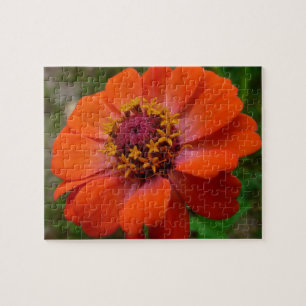 Orange Zinnia Wildflower Nature Floral Jigsaw Puzzle