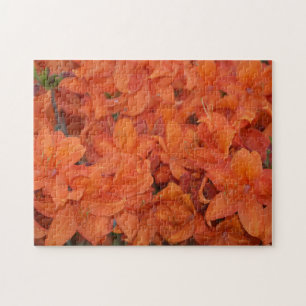 Orangene Blüten Jigsaw Puzzle