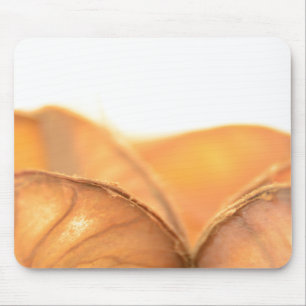 Orangene Frucht Mouse Pad