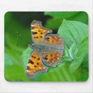 Oranger Schmetterling Mouse Pad