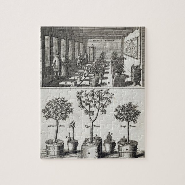 Orangery, from 'De Nederlandze Hesperides' by Jan Jigsaw Puzzle (Vertical)