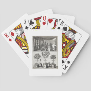 Orangery, from 'De Nederlandze Hesperides' by Jan Playing Cards