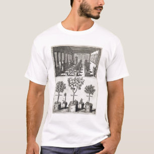 Orangery, from 'De Nederlandze Hesperides' by Jan T-Shirt