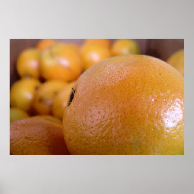 Oranges 2 poster (Front)