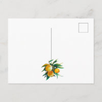 Oranges and flowers postcard