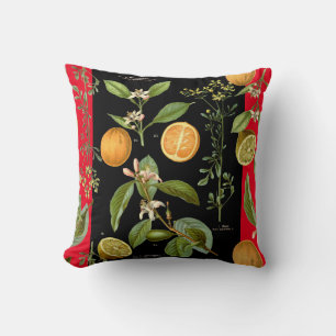 Oranges and Lemons Vintage with Red Accent Cushion