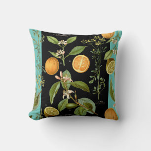 Oranges and Lemons Vintage with Turquoise Accent Cushion
