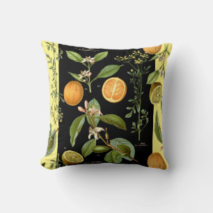 Oranges and Lemons Vintage with Yellow Accent Cushion