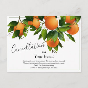 Oranges Cancellation Postcard