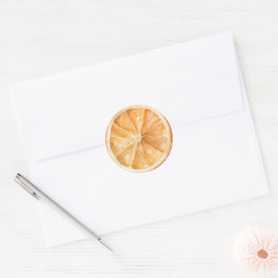 Oranges Fruit Classic Round Sticker