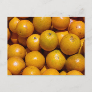 Oranges fruit Florida market orange  Postcard