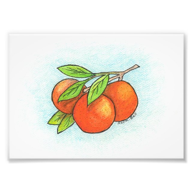 Oranges Illustration Photo Print (Front)
