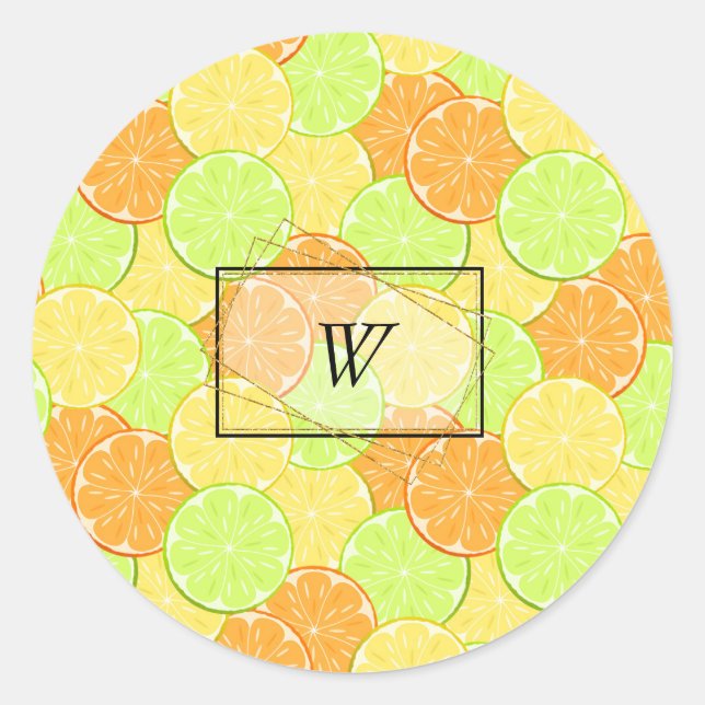 oranges lemons lime fruit citrus classic round sticker (Front)