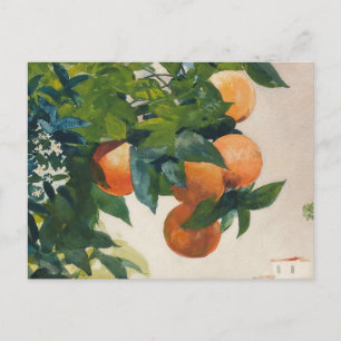Oranges on a Branch Winslow Homer Postcard