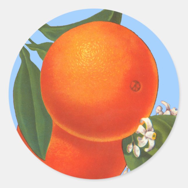 Oranges on Blue Vintage Crate Art Sticker (Front)