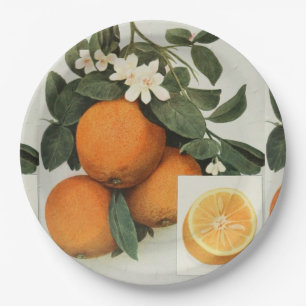 ORANGES paper plate