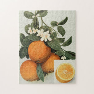 ORANGES puzzle