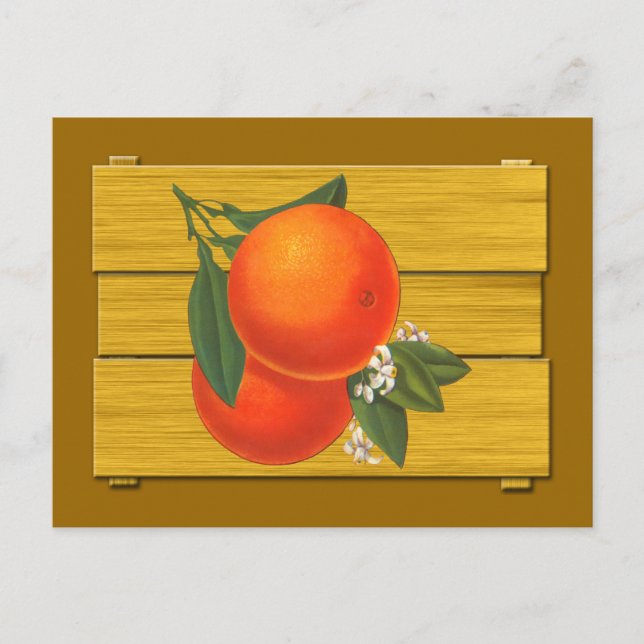 Oranges Vintage Crate Art Postcard (Front)