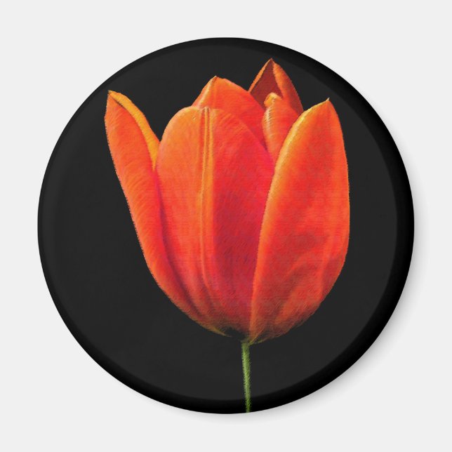 OrangeTulip Magnet (Front)