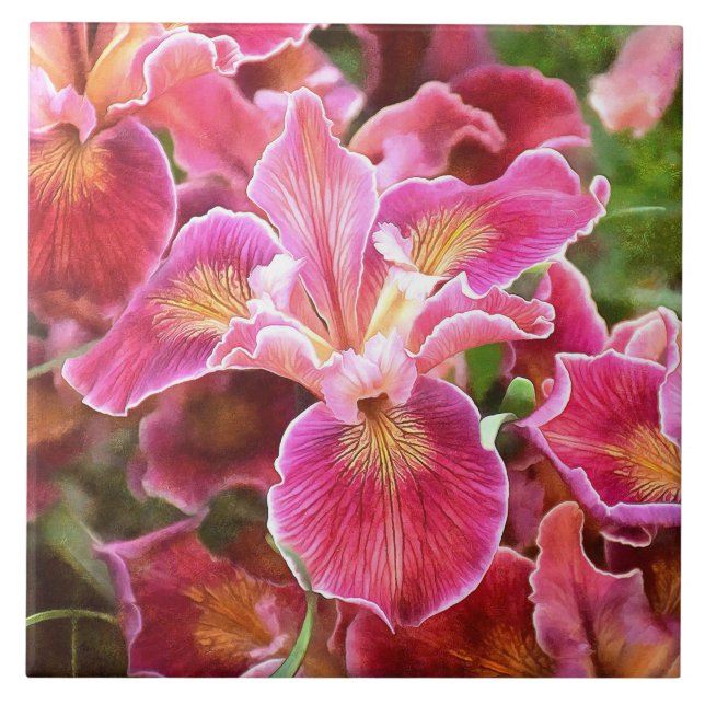Orangish Pink Iris Ceramic Tile (Front)