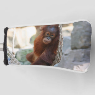 OrangUtan 001 Golf Head Cover
