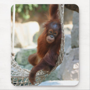 OrangUtan 001 Mouse Pad
