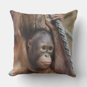 OrangUtan 002 Cushion