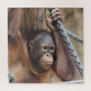 OrangUtan 002 Jigsaw Puzzle