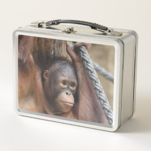 OrangUtan 002 Metal Lunch Box