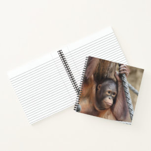OrangUtan 002 Notebook